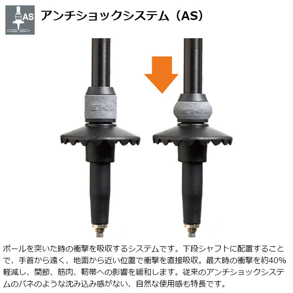 LEKI(�쥭) ���쥷��FX�����ܥ�AS 1300447110