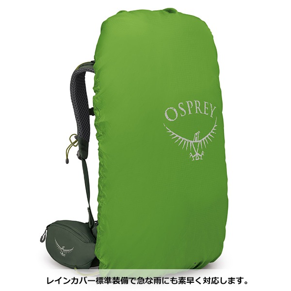 OSPREY(ץ졼) ȥ38  OS50383