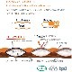 SEA TO SUMMIT(ȥߥå) ȥ饤 󥵥졼ƥåɥޥå (쥮顼) ST81173