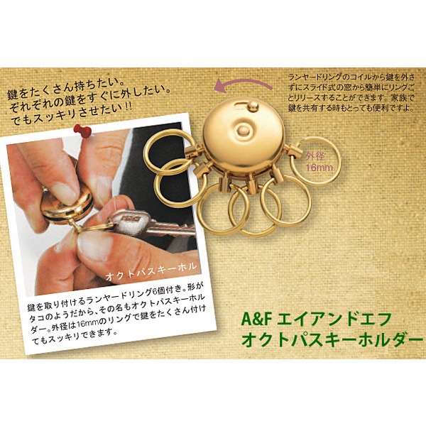 A&F(��������ɥ���) �����ȥѥ������ۥ���� 00800008