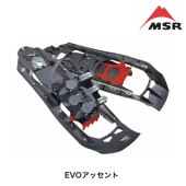MSR EVO���å����
