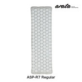 arata�ʥ��饿�� ASP-R7 Regular