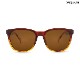 �����Υ� Calafia Polarized Sunglasses