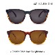 �����Υ� Calafia Polarized Sunglasses