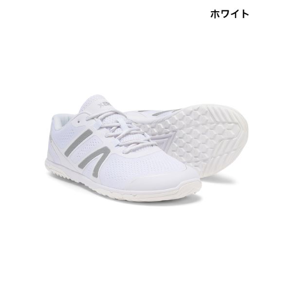 塼 HFS2 ()