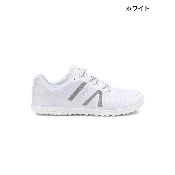 塼 HFS 2 (ǥ)