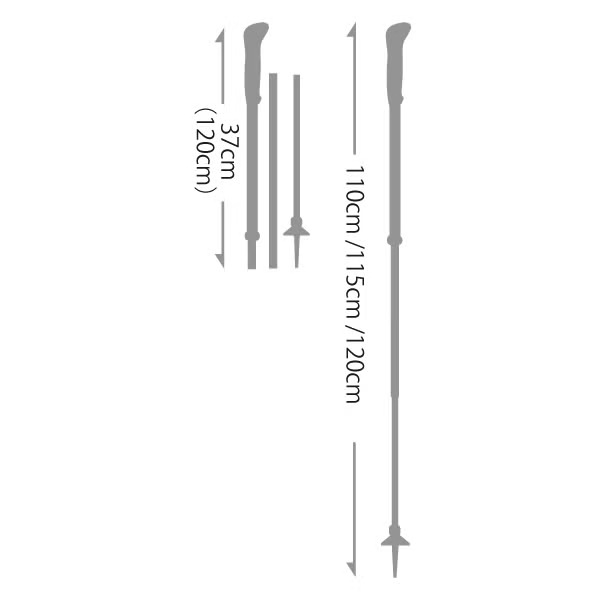 �쥭 LEKI Skysolo FX.One Carbon�ʥ��������� FX.One �����ܥ��