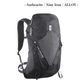������� SALOMON AEROTREK 20�ʥ������ȥ�å� 20�ˡڥ�󥺡�