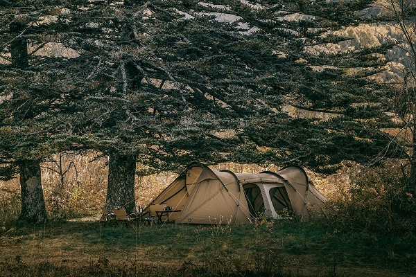 �����󥢡��� ����