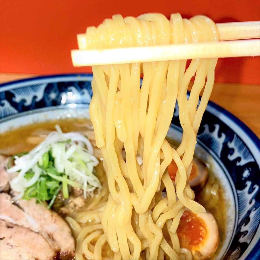 ������̵���ۡ������������ݥ��դ���2026ǯ ʡ�ޡʥ顼���10���ܾ����