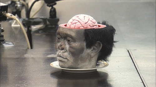 ダウンタウンのガキの使いやあらへんで!(祝)通算500万枚突破記念(25