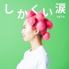 SETA������������