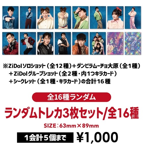 ALD1 tous jours 限定 トレカ 16枚セット ZiDol ランダムトレカ3枚
