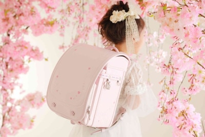スリジエ 桜  Cerisier 　桜