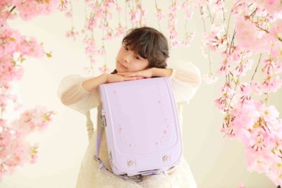 スリジエ 桜  Cerisier 　ライラック