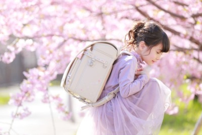 【OUTLET】 スリジエ 桜  Cerisier 　ホワイト