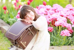【OUTLET】 アンティーク  Antique 　ボルドー