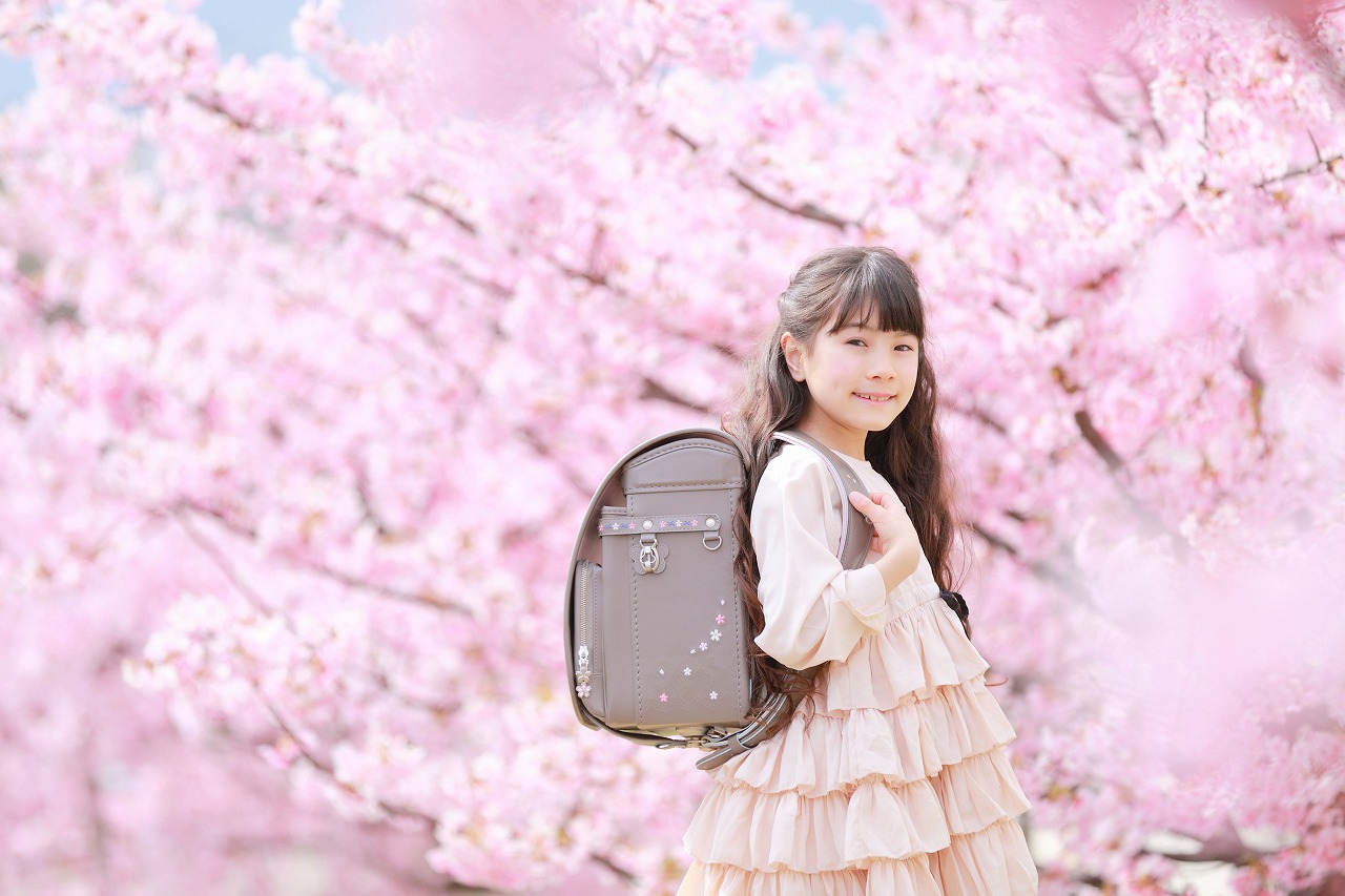 スリジエ 桜 