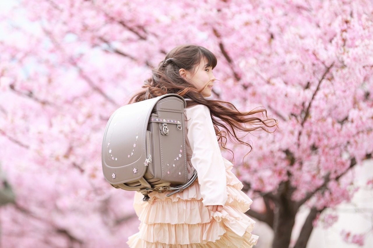スリジエ 桜 