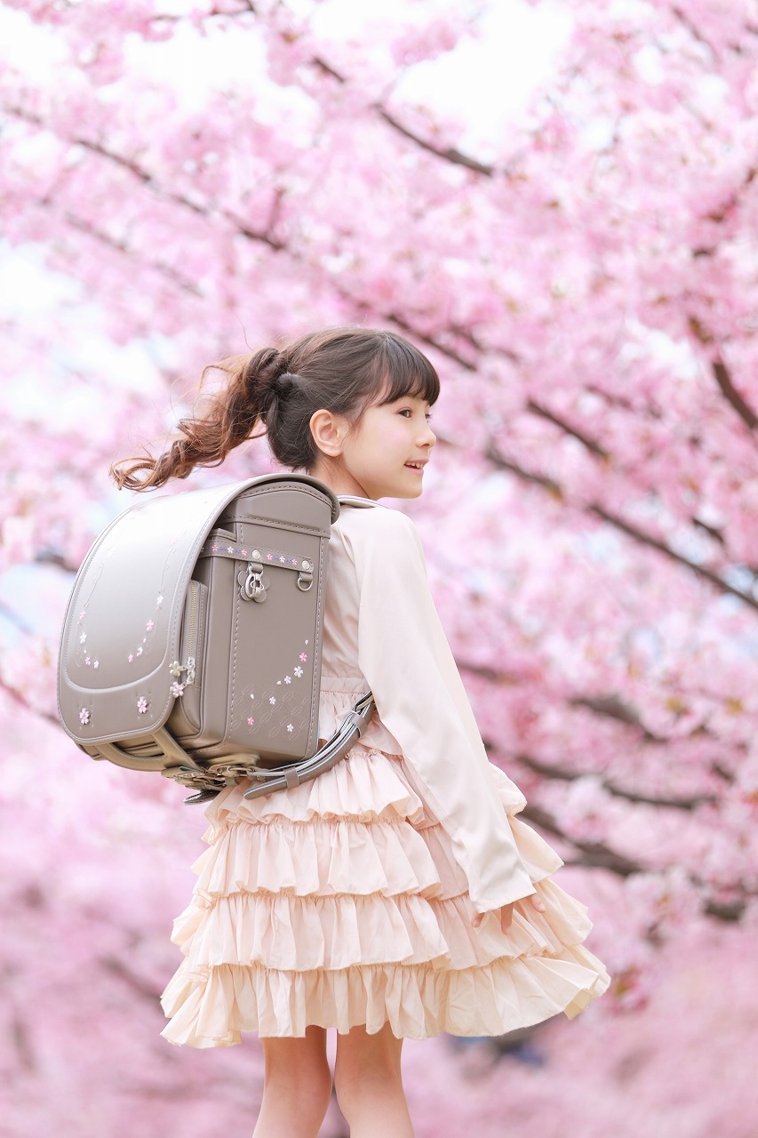 スリジエ 桜 