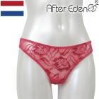 (T�Хå������󥬥��硼��) �᡼����3���ޤ� ���ե������ǥ󥸥���֥�ڥ����󥬥��硼�� ��K��