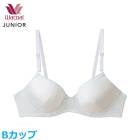 拾 Wacoal ˥֥饸㡼 (Bå)ե꡼ƥ U磻䡼֥ 3/4åץ֥ ƥå3  ؽ CFX398 P