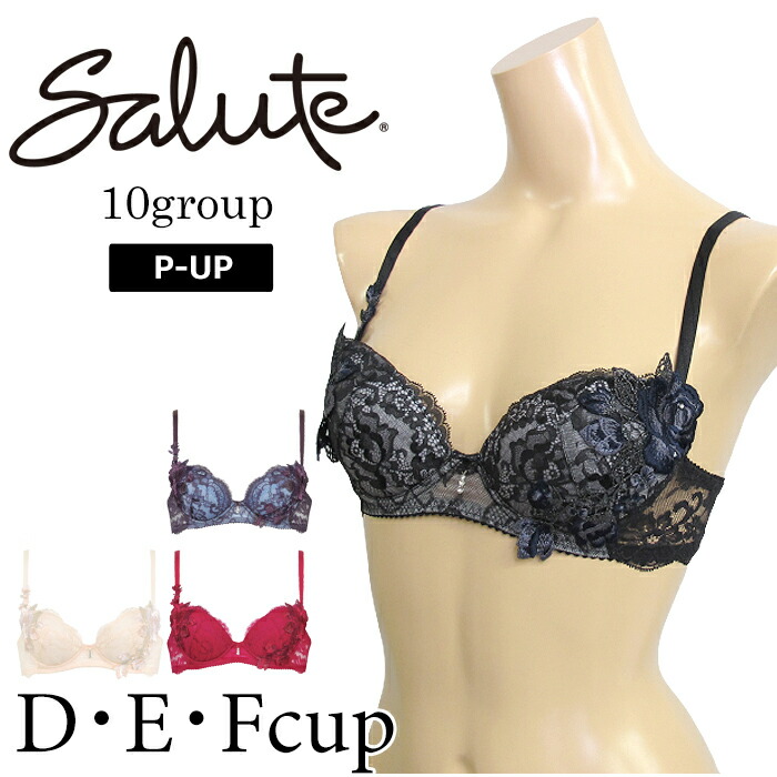 ワコール Wacoal サルート (Dカップ Eカップ Fカップ) 10