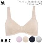 �拾���� Wacoal ����åԡ� Grap �Υ�磻�䡼�֥� (A��B��C���å�)�����������֥� �᡼����1���ޤ� ���ե� BHK102 ��P��