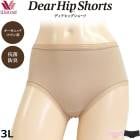 拾 ǥҥåץ硼ĥ拾 Wacoal 3L ˥ååȥ ɽ ǥ ᡼3ޤ PPD350 P