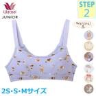 拾 Wacoal ˥֥饸㡼 Υ磻䡼֤꥿ ƥå2 λ ף쥰롼  ᡼1ޤ CFX280 F