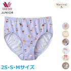 �拾���� Wacoal ����˥����硼�� (2S������ S������ M������) ���λ� �ף�����쥰�롼�� ���� �᡼����3���ޤ� CZQ580 ��P��
