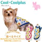 ������ߥ�����ץ饹 �ԡ�������(�����ɳ���������) ������ ���� ���󥯥ȥå� ����  �淿�����ѥ��� ���˥��� ���������塼�� 2��-3�� 10792 ��T��