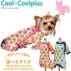 ������ߥ�����ץ饹 �ԡ������С�������(�����ɳ���������) ������ ���ѥ����� ����ѡ������� ���˥��� ������ ���������塼�� 2��-3�� 10793 ��T��