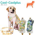 ������ߥ�����ץ饹 ����������(�����ɳ���������) ������ ���� ���󥯥ȥå� �礭�᥵�������� �緿�� ���˥��� ���������塼�� 2��-3�� 10817 ��T��