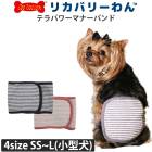 �ԥ�ӥ塼��300�ߥ����ݥ����եꥫ�Х꡼���(��ƥ�إ�ĥ��)�ƥ�ѥ�ޥʡ��Х������ ���Ѹ��� ���������塼�� �ꥫ�Х꡼������ 2��-3�� 7070 ��T��