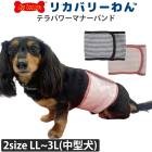 �ԥ�ӥ塼��300�ߥ����ݥ����եƥ�ѥ�ޥʡ��Х������ �����淿�� ���˥��� ���� ������ ���������塼�� �ꥫ�Х꡼������ 2��-3�� 7070 ��T��