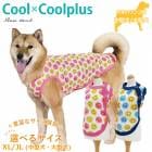 ԥӥ塼300ߥݥեߥץ饹 ԡ(ɳ)  ڥåȥ  緿 淿 ˥  ᡼1ޤ 1-2 10792 T̵ۡ