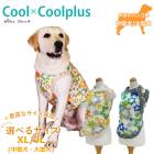 ������ߥ�����ץ饹 ����������(�����ɳ���������) ������ ���� ���󥯥ȥå� �礭�᥵���� ���� �緿�� �淿�� ���������塼�� 2��-3�� 10817 ��T��