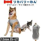 �ƥ�إ�ĥ�󡦥��� �����ɳ��������� ���ѥ��˥��� ���� �ƥ�إ�ĥ�� ������ ���������塼�� �ꥫ�Х꡼������ 2��-3�� 50034 ��T��