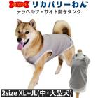 �ƥ�إ�ĥ�󡦥��� �����ɳ��������� �����淿�� �緿�� ���˥��� ���� �ƥ�إ�ĥ�� ������ ���������塼�� �ꥫ�Х꡼������ 2��-3�� 50034 ��T��