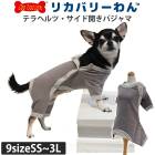 �ƥ�إ�ĥ�󡦥ѥ���� �����ɳ��������� ���ѥ��˥��� ���� �ƥ�إ�ĥ�� ������ ���������塼�� �ꥫ�Х꡼������ 2��-3�� 50035 ��T��