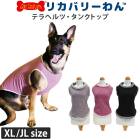 �ꥫ�Х꡼���ʵ�ƥ�إ�ĥ��˥��󥯥ȥå� (3��)�ڥåȲ�� ���� �ڥåȥ����� �淿�� �緿�� �ꥫ�Х꡼������ 2��-3�� 50044 ��T��