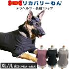 �ꥫ�Х꡼���ʥƥ�إ�ĥ��� ĹµT����� (3��)�ڥåȲ�� �����淿�� �緿�� ���˥��� ���� ���������塼�� �ꥫ�Х꡼������ 2��-3�� 50045 ��T��