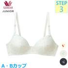 拾 Wacoal ˥Υ磻䡼֥ (ABå)Υ磻䡼 λ 3/4åץ֥ ƥå3 ե꡼ƥ CFX344 EVۡF