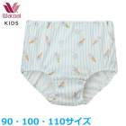 �拾���� Wacoal Wacoa ���å����硼�� (90������ 100������ 110������) �������硼�� �Ϥ����ߤդ��� ���Ф� ���Ρ��ޥ�� �᡼����3���ޤ� CAX158 ��P��