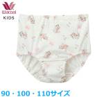 �拾���� Wacoal Wacoa ���å����硼�� (90������ 100������ 110������) �������硼�� �Ϥ����ߤդ��� ���Ф� �᡼����3���ޤ�  CAX159 ��P��