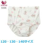 �拾���� Wacoal Wacoa ���å����硼�� (120������ 130������ 140������) �������硼�� �Ϥ����ߤդ��� �᡼����3���ޤ� CAX159 ��P��