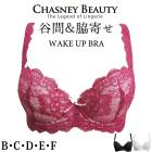 ˡӥ塼ƥ CHASNEYBEAUTY WAKE UP BRA åץ֥ CHICAGO LACE 졼 3/4åץ֥饸㡼  CB870/FJ3 A̵ۡ