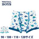 Wacoal �拾���륭�å� BOYS(�˻�) (90��120������)�˻��ܥȥ� �ܥ������ѥ�� �ˤλ� ���餫����100�� �᡼����3���ޤ� CPS525 ��P��