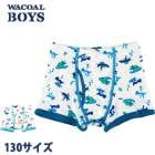 Wacoal �拾���륭�å� BOYS(�˻�) (130������)�˻��ܥȥ� �ܥ������ѥ�� �ˤλ� ���餫����100�� �᡼����3���ޤ� CPS525 ��P��